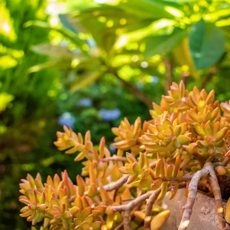 Casa Di Christina Lejlighed