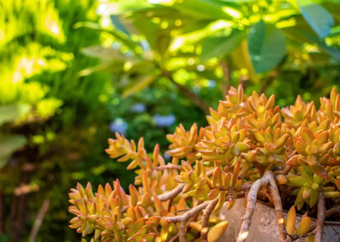 Casa Di Christina Apartament