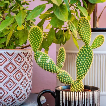 Casa Di Christina 하니아