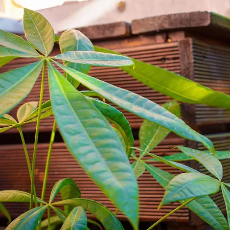 Casa Di Christina * Chania (Crete)