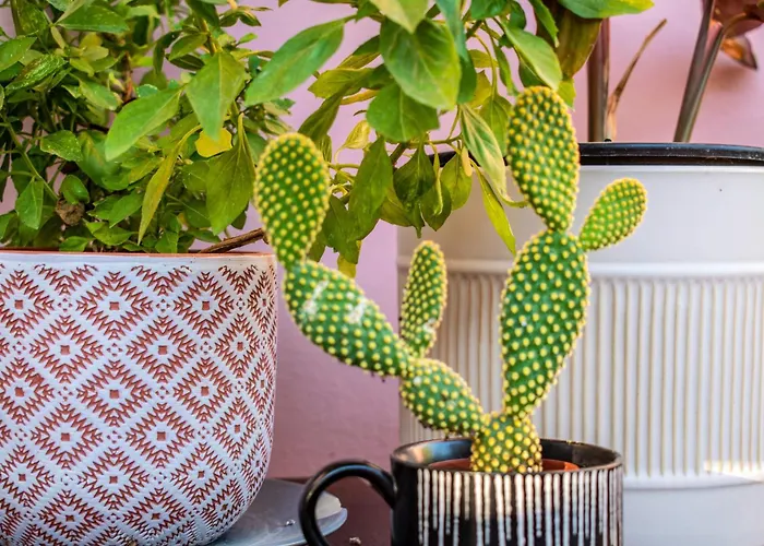 Casa Di Christina Ханья