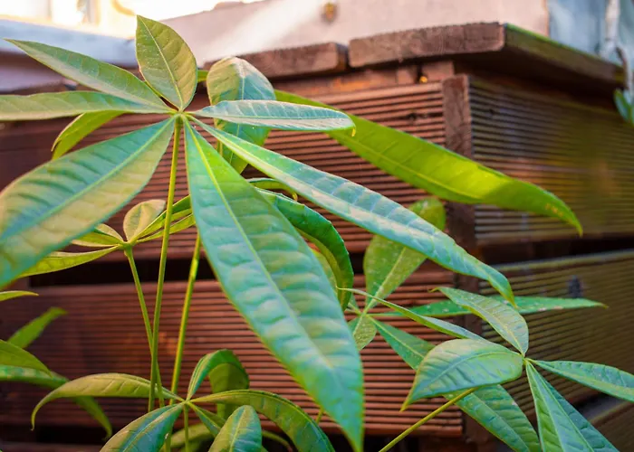 Casa Di Christina * Ханья